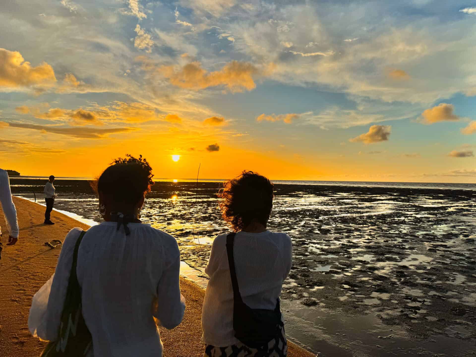 Wetland Swamptour – Mangrove & Matapica Beach (Long Route) (Suriname) - Image 5