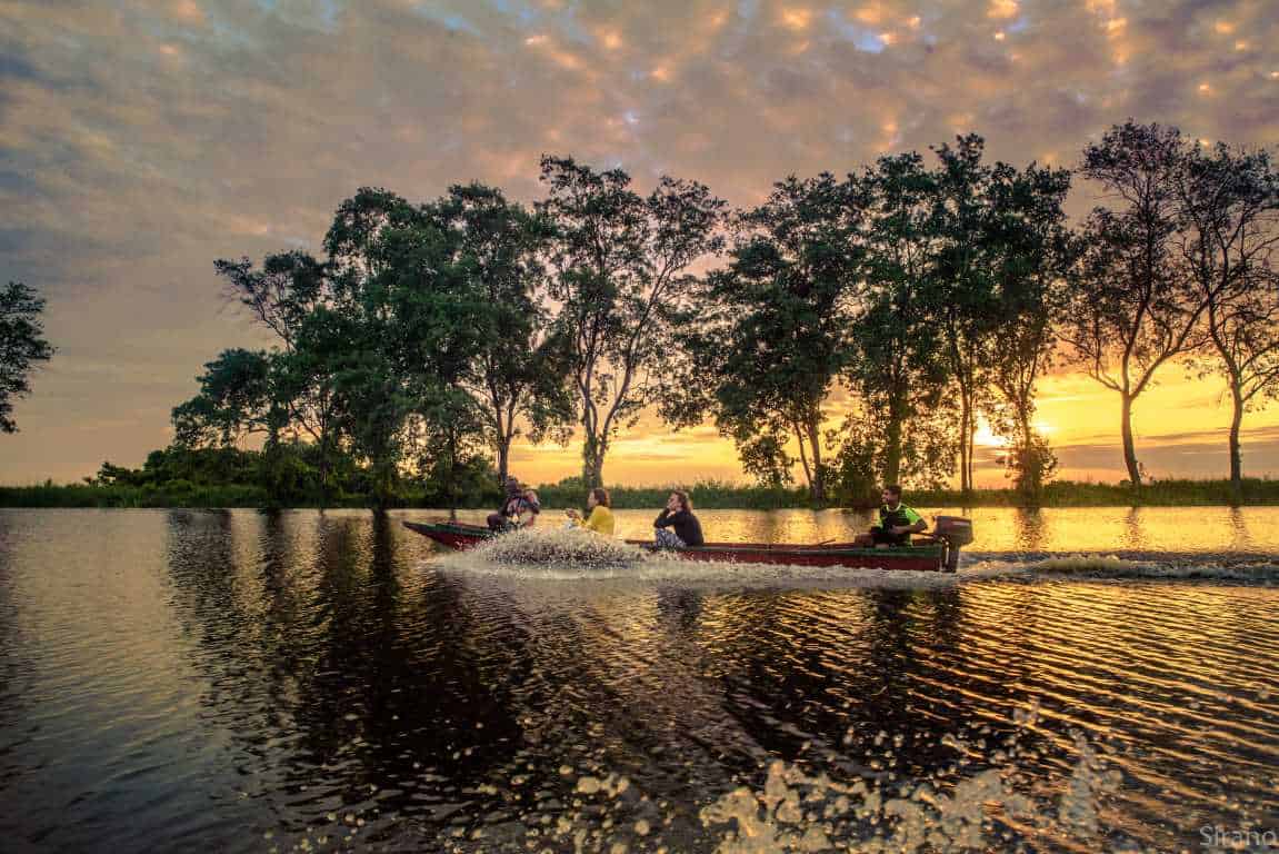 Wetland Swamptour – Mangrove & Matapica Beach (Long Route) (Suriname) - Image 4