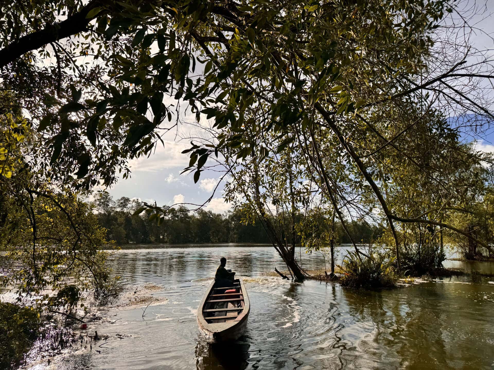Ruta corta del valle del Humedal – Lotus Valley (Surinam) - Imagen 2