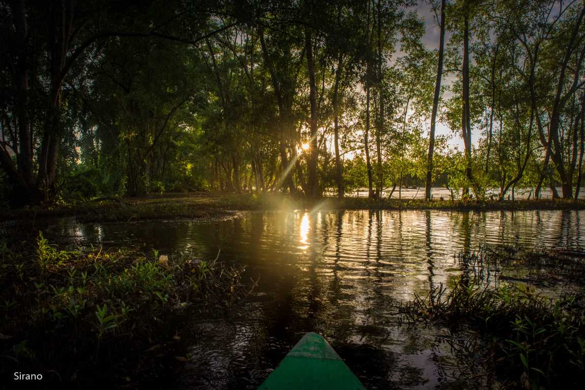 Ruta corta del valle del Humedal – Lotus Valley (Surinam)
