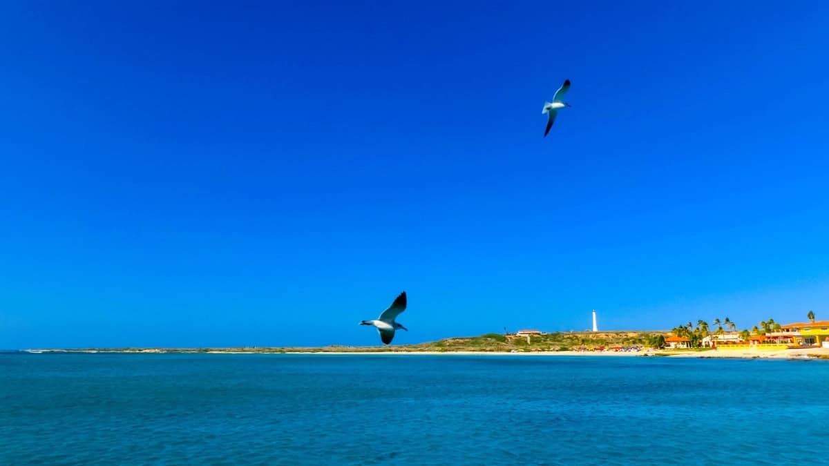 Aruba weer september