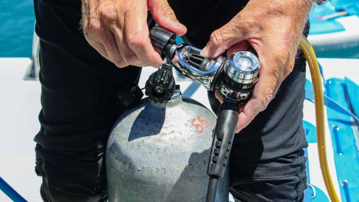 Een duikreis Bonaire