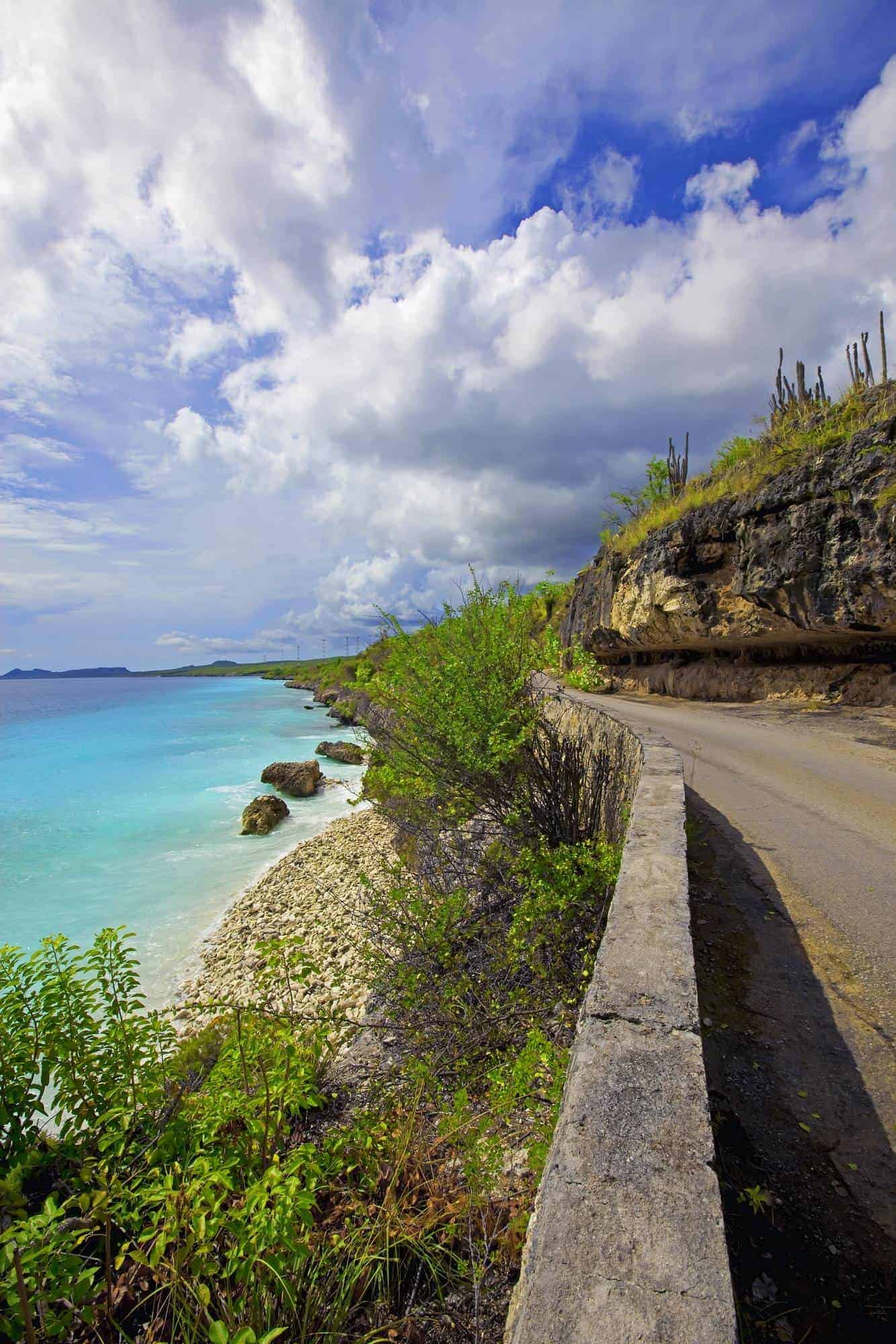 Tour por el lado norte (Bonaire) - Imagen 6
