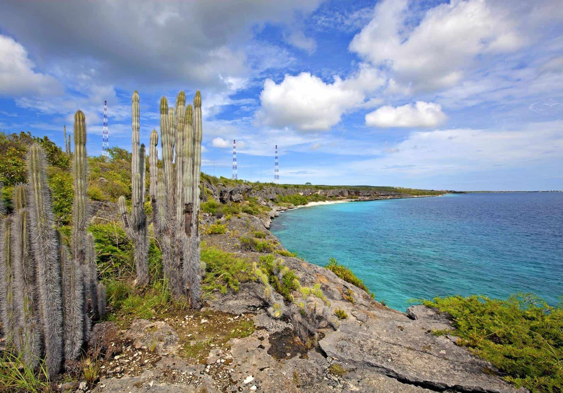 Tour por el lado norte (Bonaire)