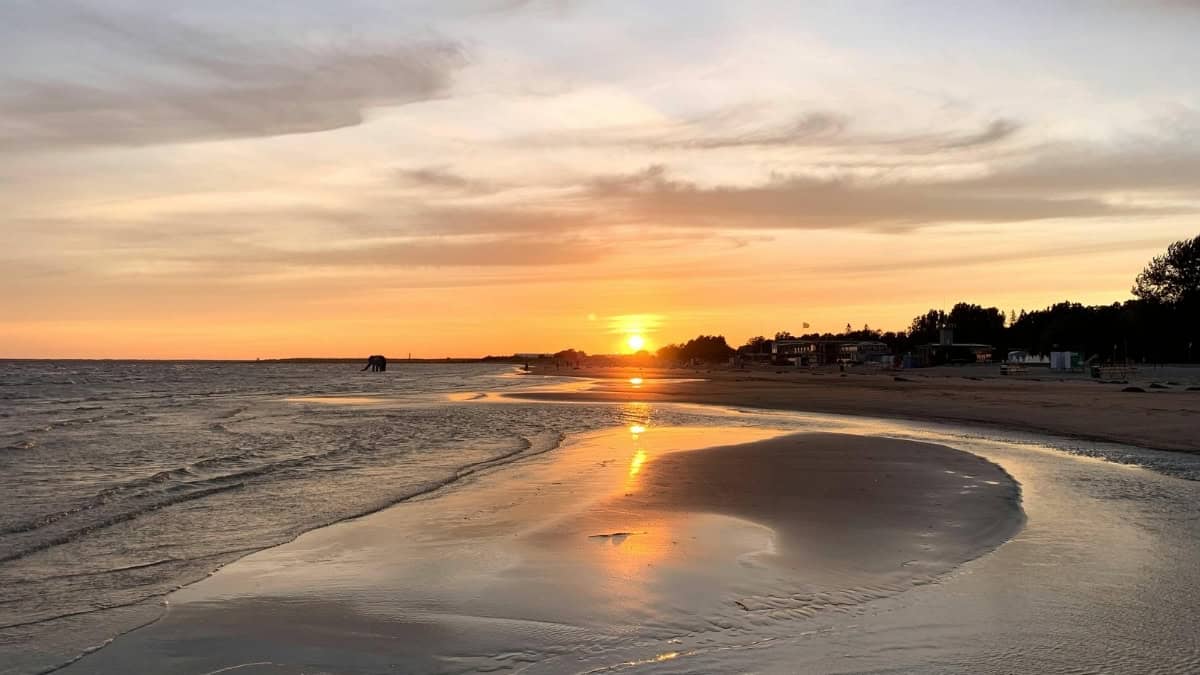 Ontdek de mooiste Suriname beaches voor jouw volgende avontuur
