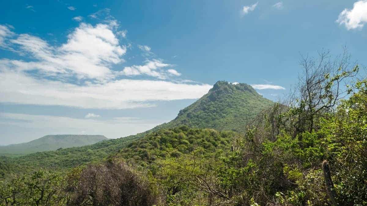 Ontdek de natuur van Curacao