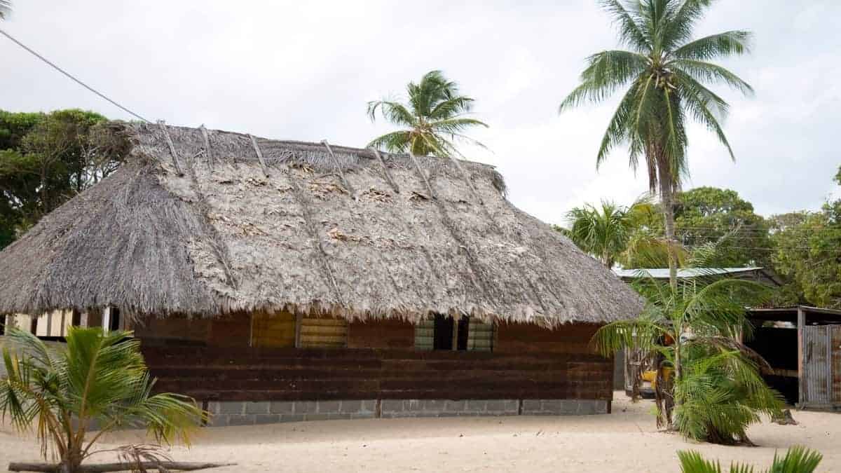 Ontdek white beach Suriname_ waar kunst en natuur samenkomen