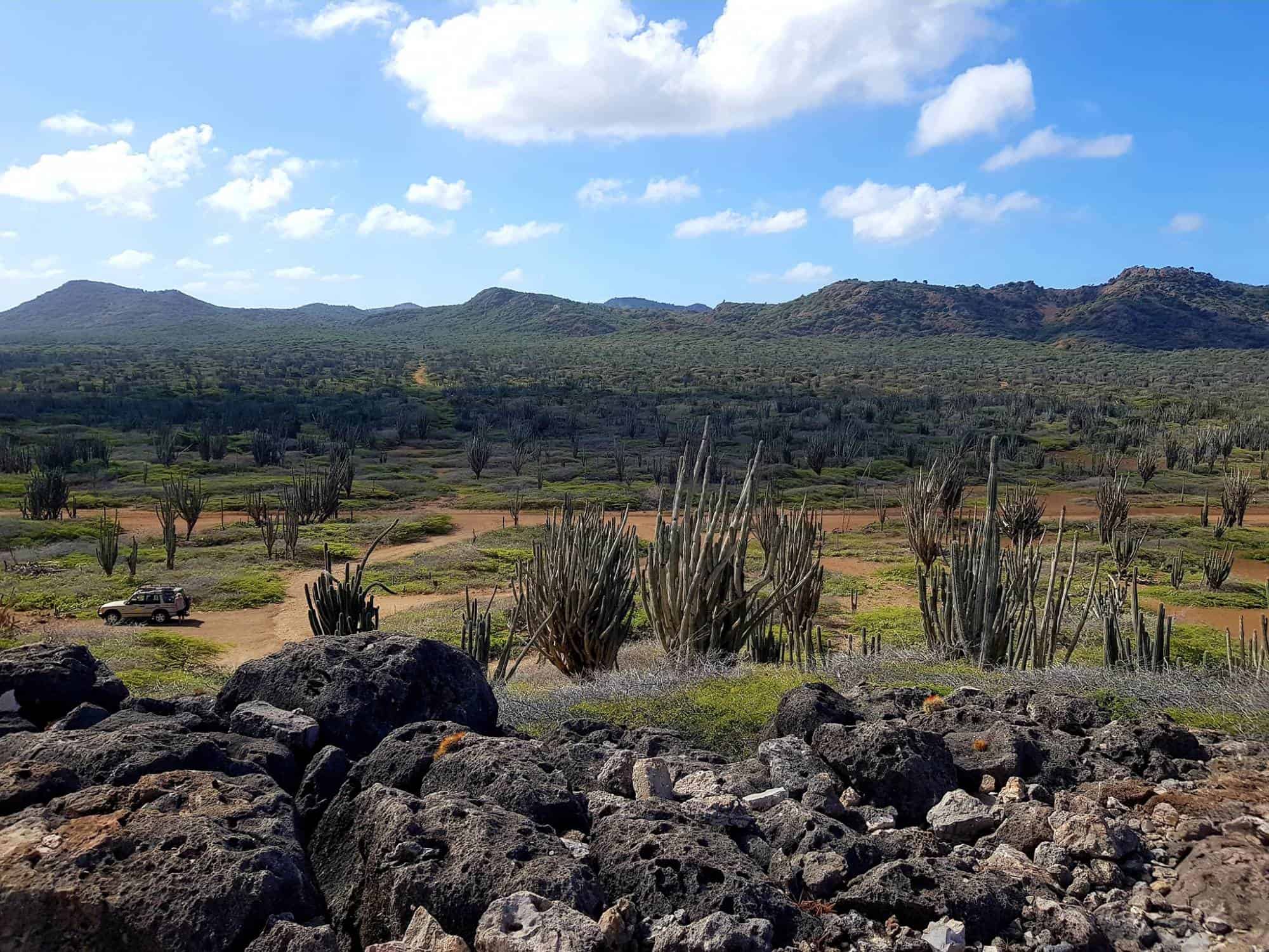 Washington-Slagbaai national park tour (Bonaire) - Afbeelding 4