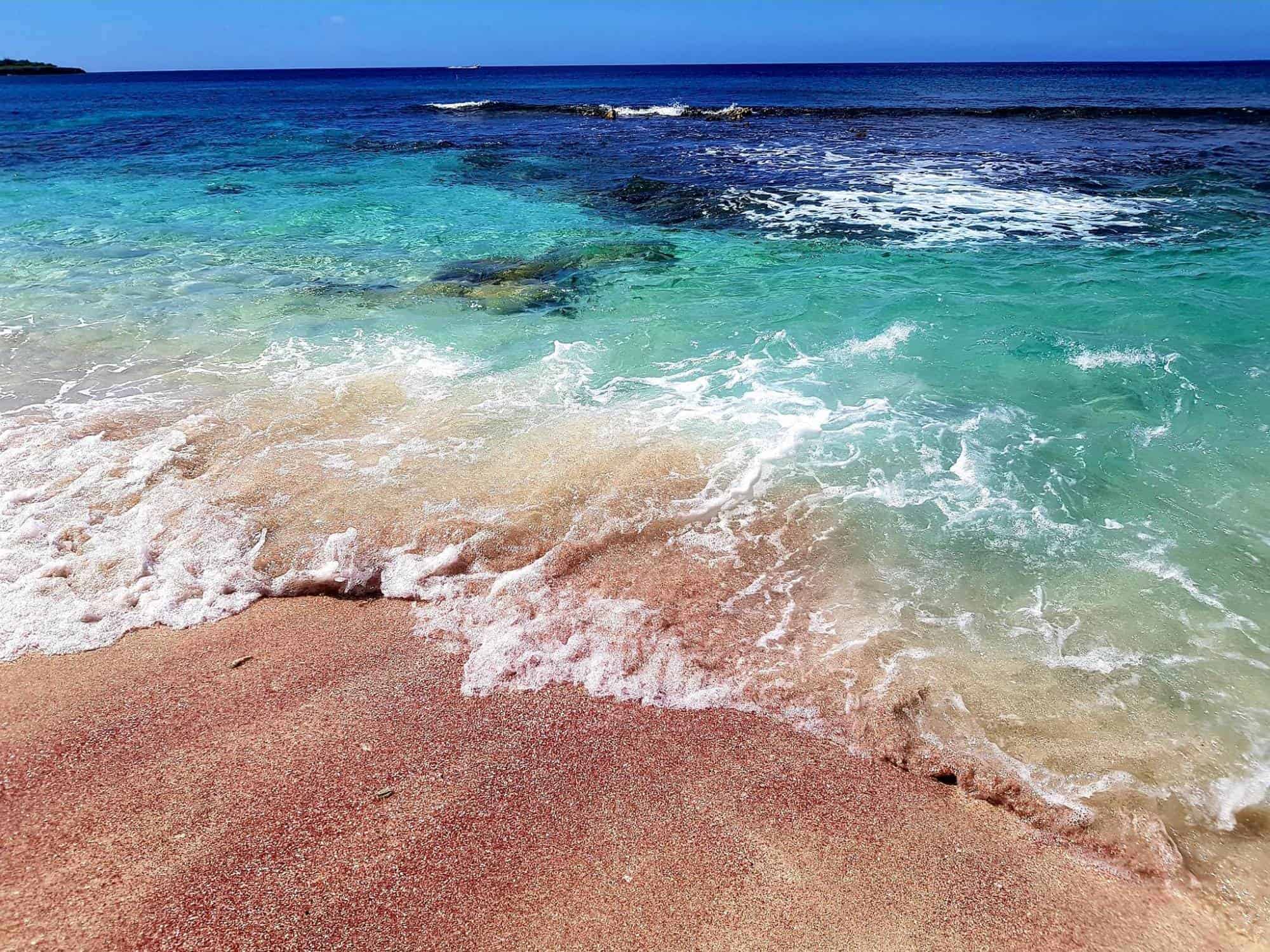 Washington-Slagbaai national park tour (Bonaire) - Afbeelding 5