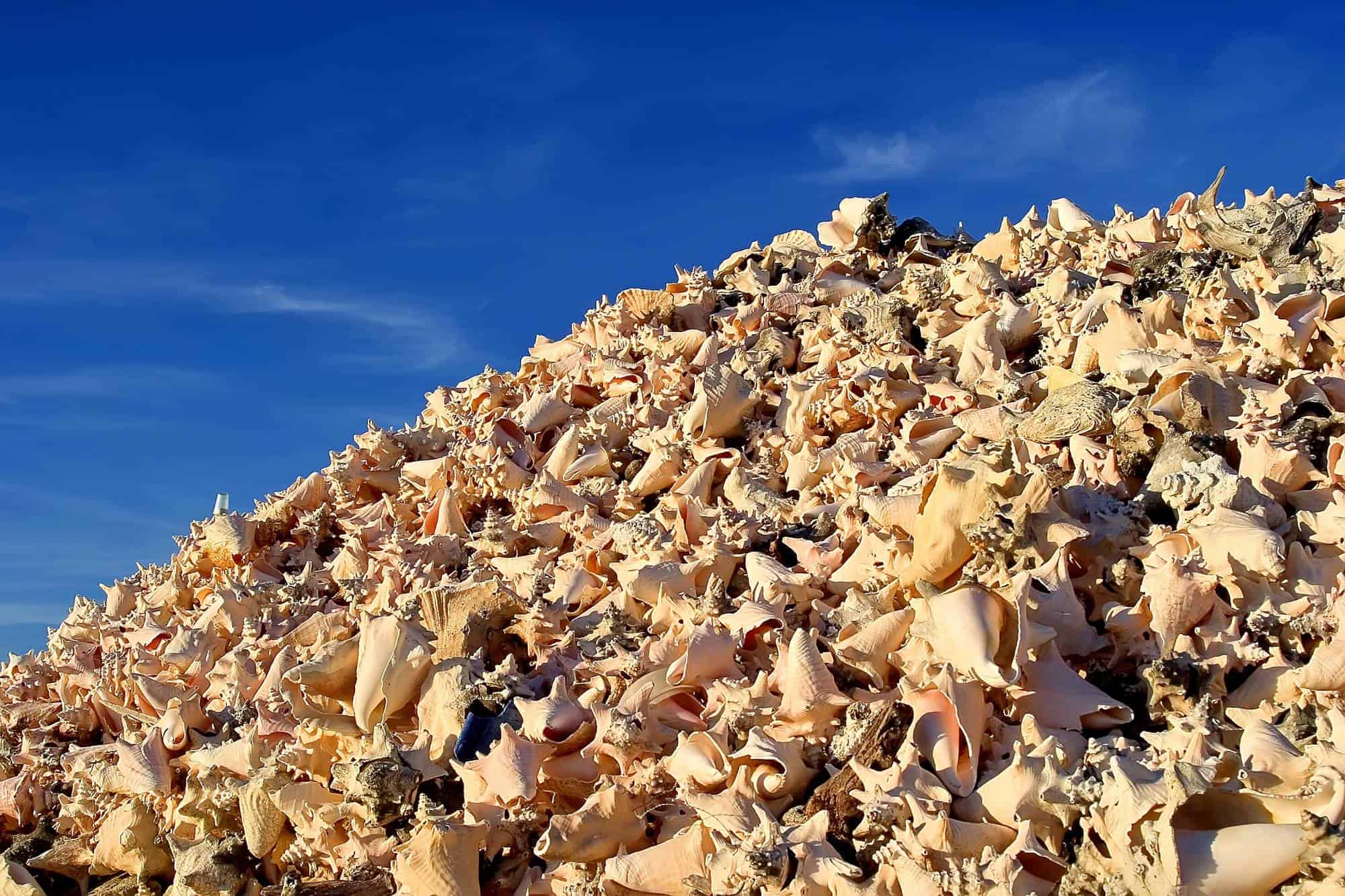 South side tour (Bonaire) - Image 3