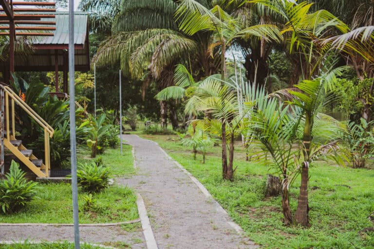 Anaula-Nature-Resort-Surinam
