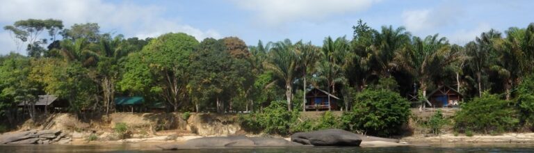 Resort-Selva-Pingpe-Surinam