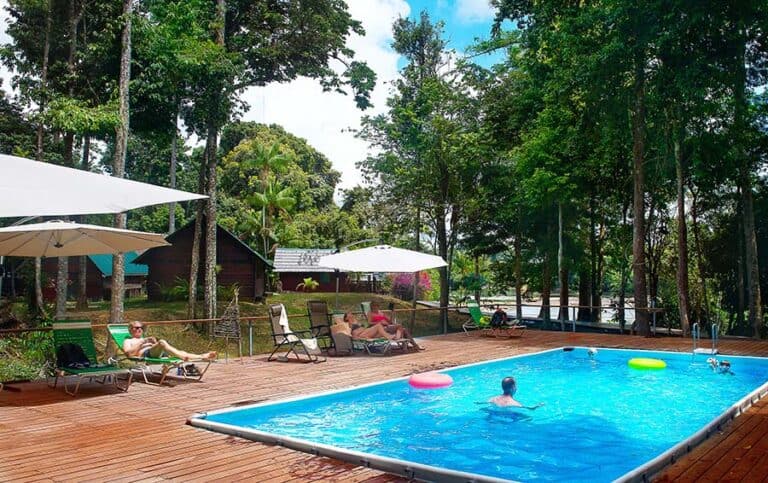 Zwembad met ligstoelen tussen het regenwoud bij Danpaati River Lodge