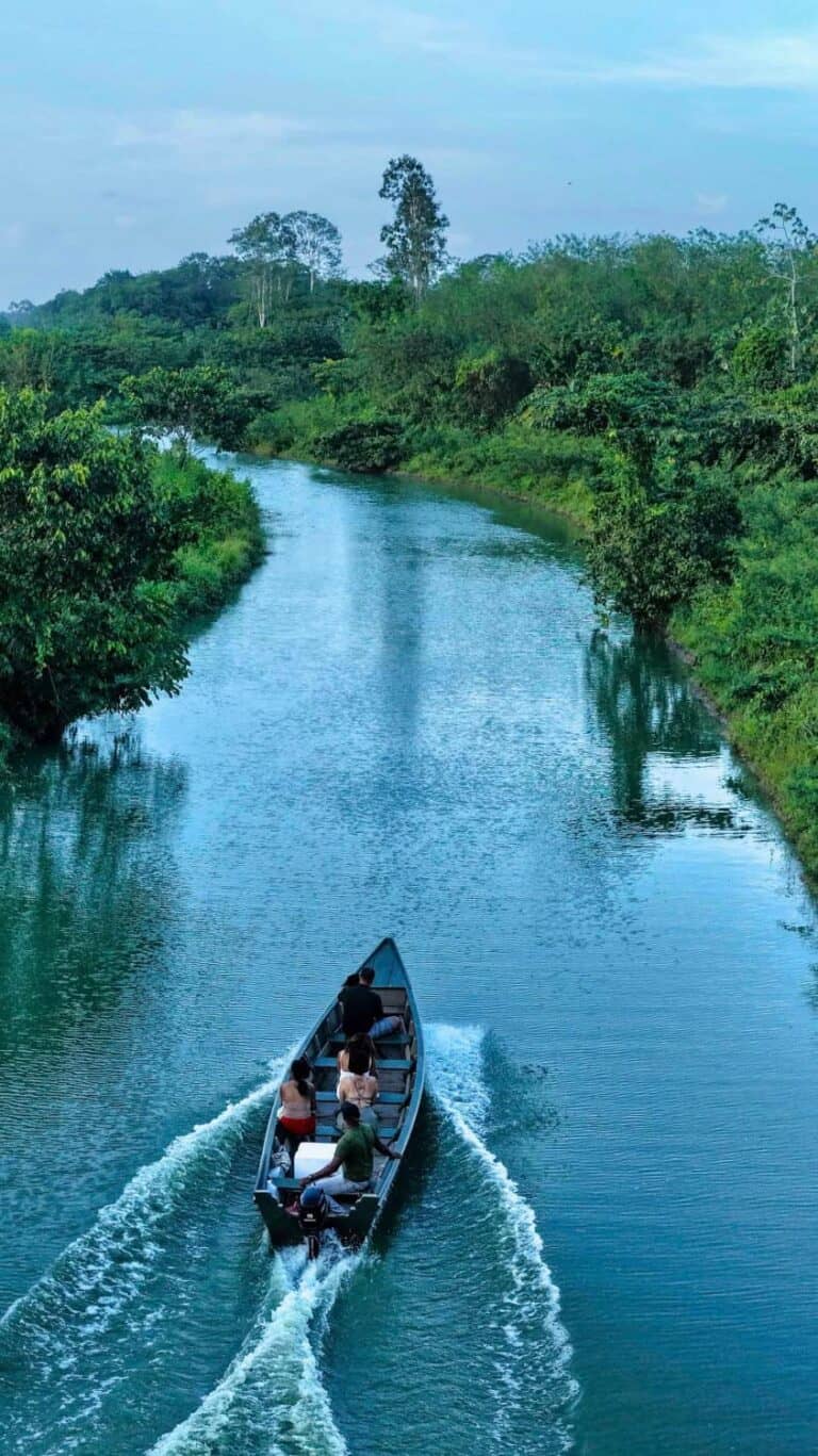 sendang-redjo-suriname-346_1