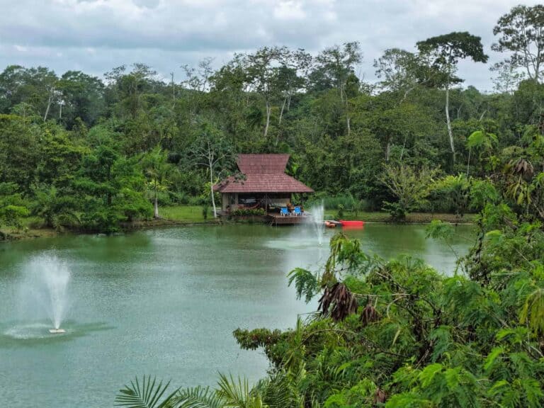 sendang-redjo-suriname-351_1