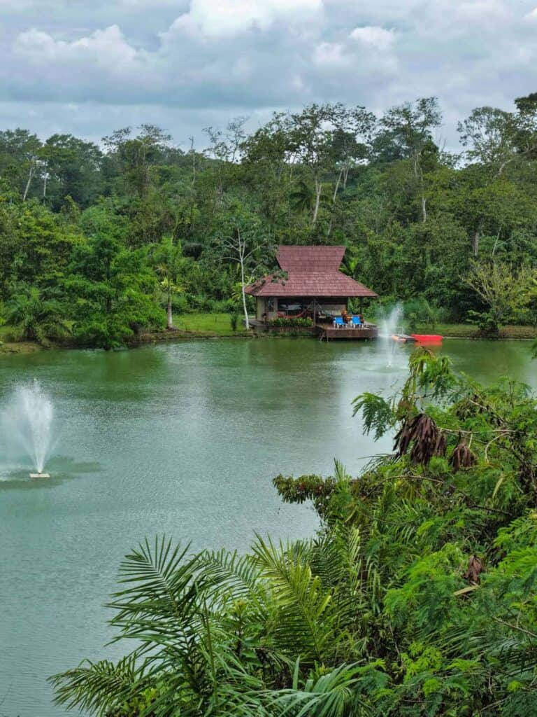 sendang-redjo-suriname-352_1