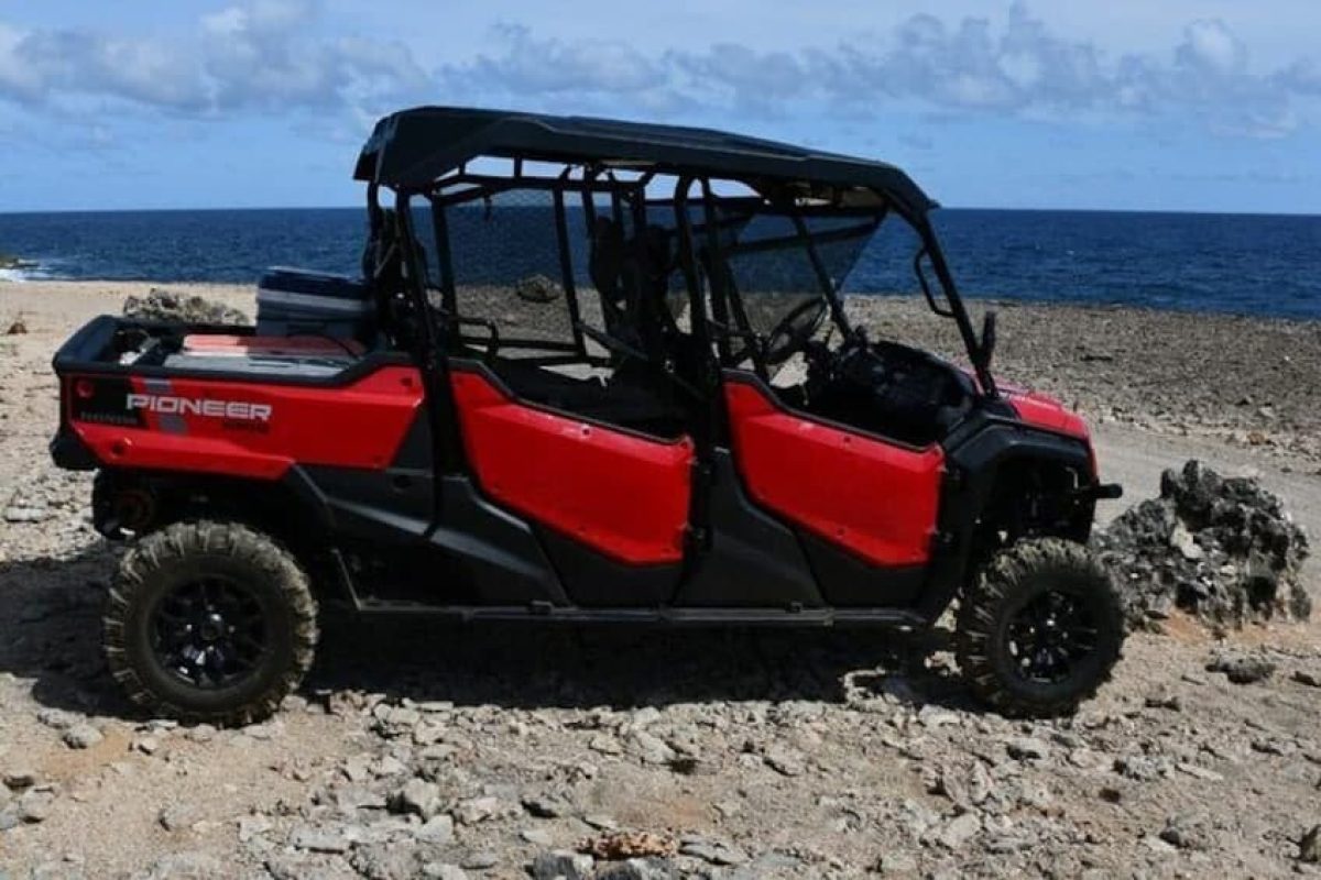 01d1d7a3-43e6-406d-88b0-96a9764892c5