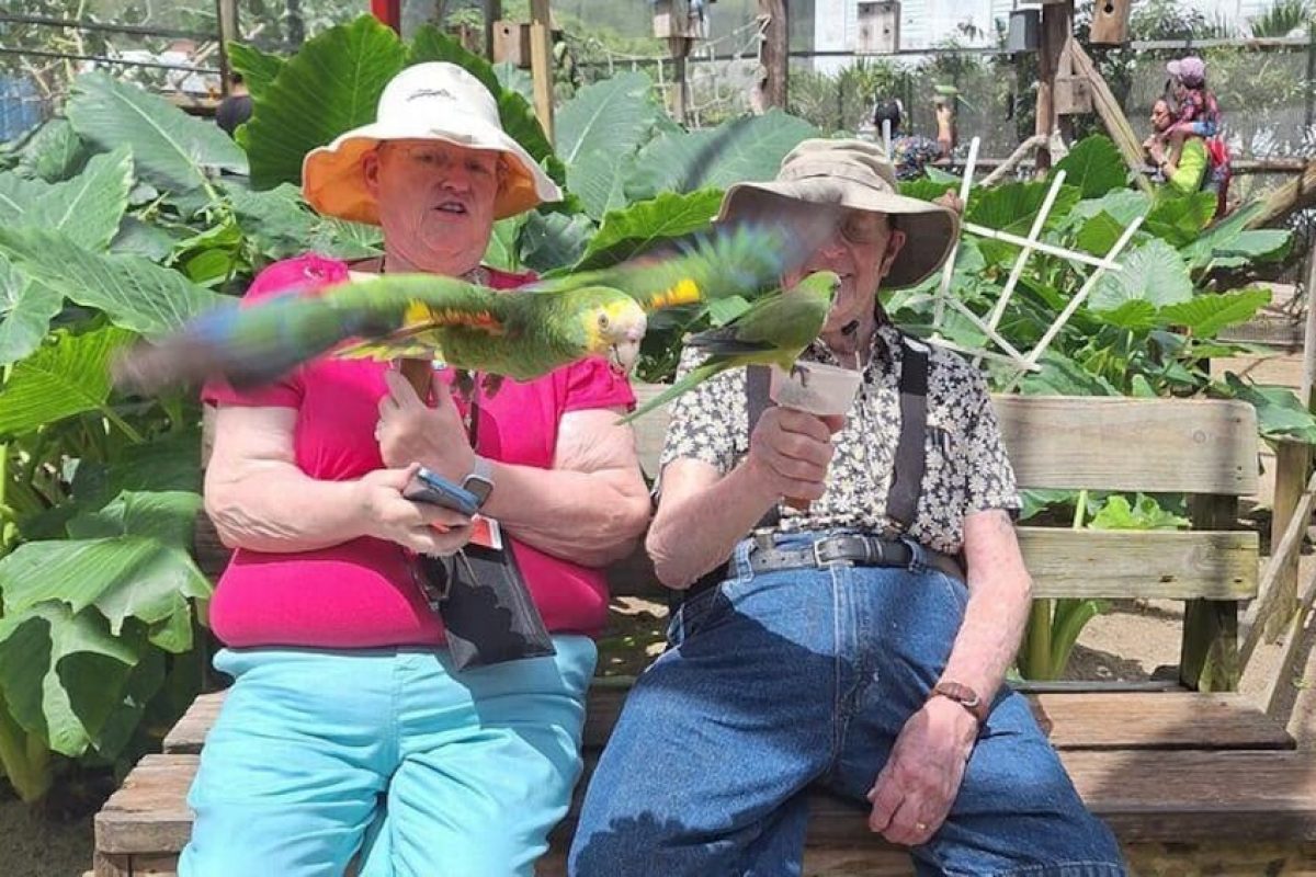 02d0af1e-c70b-4eff-9ee9-90d82bf5713e