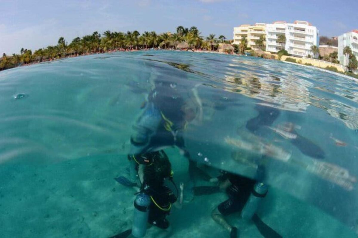 035150f7-640c-4734-ac00-03636d736c6a