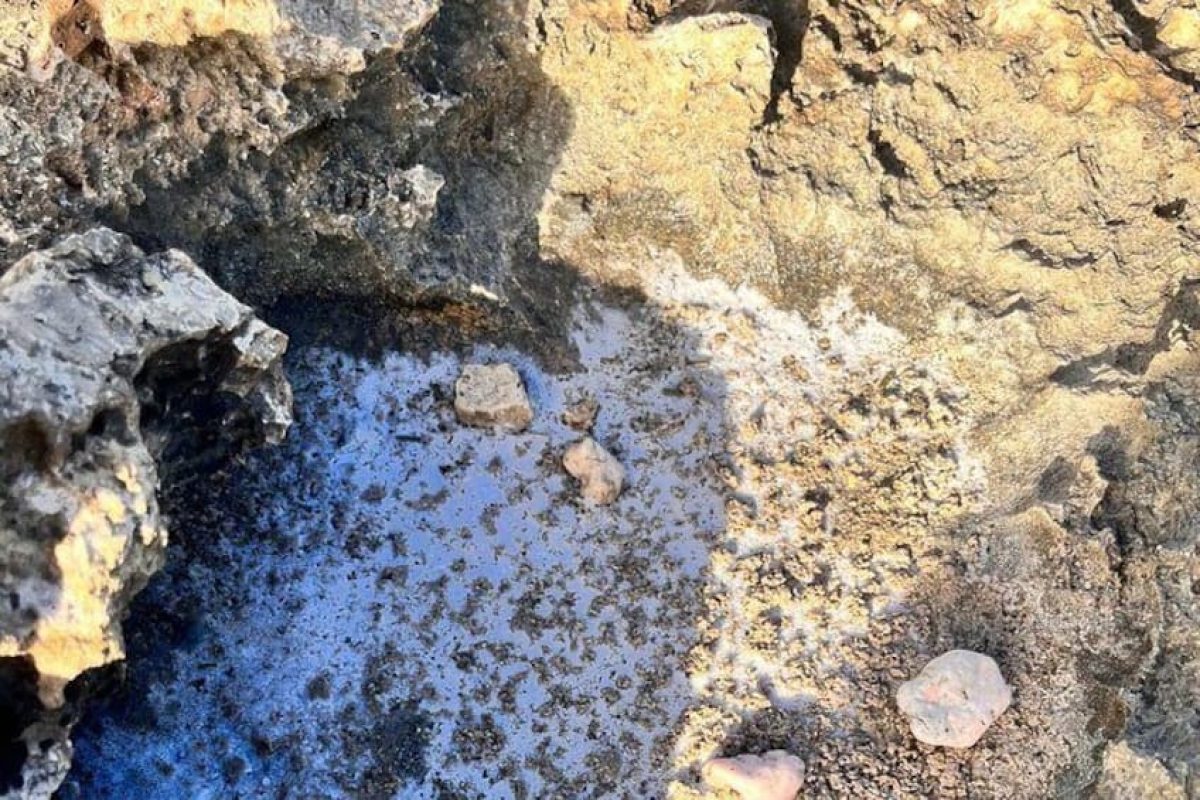 03ad8c85-e716-4a76-aef7-a398f687664c