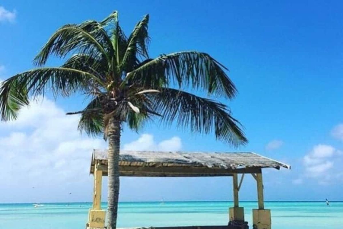 06d3b70a-f4e1-4965-97f7-bdc179ff4368