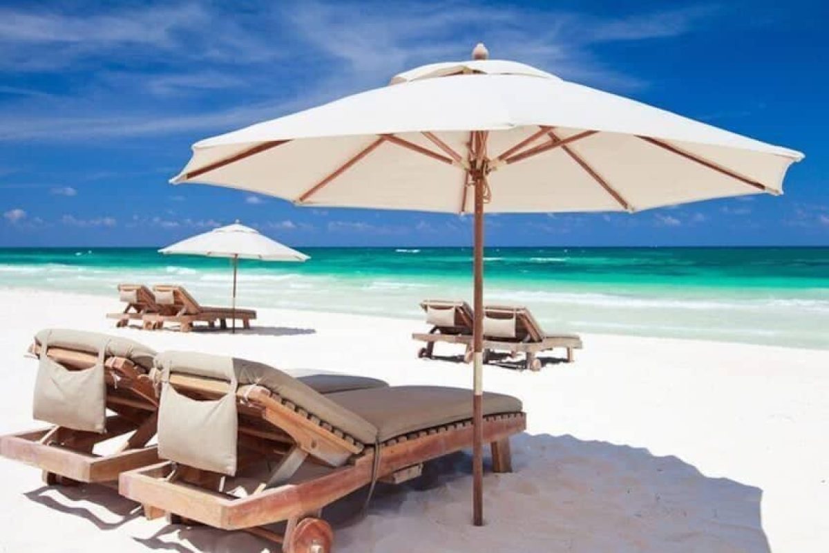 0779daae-a978-47b9-ba54-495e68c61e89