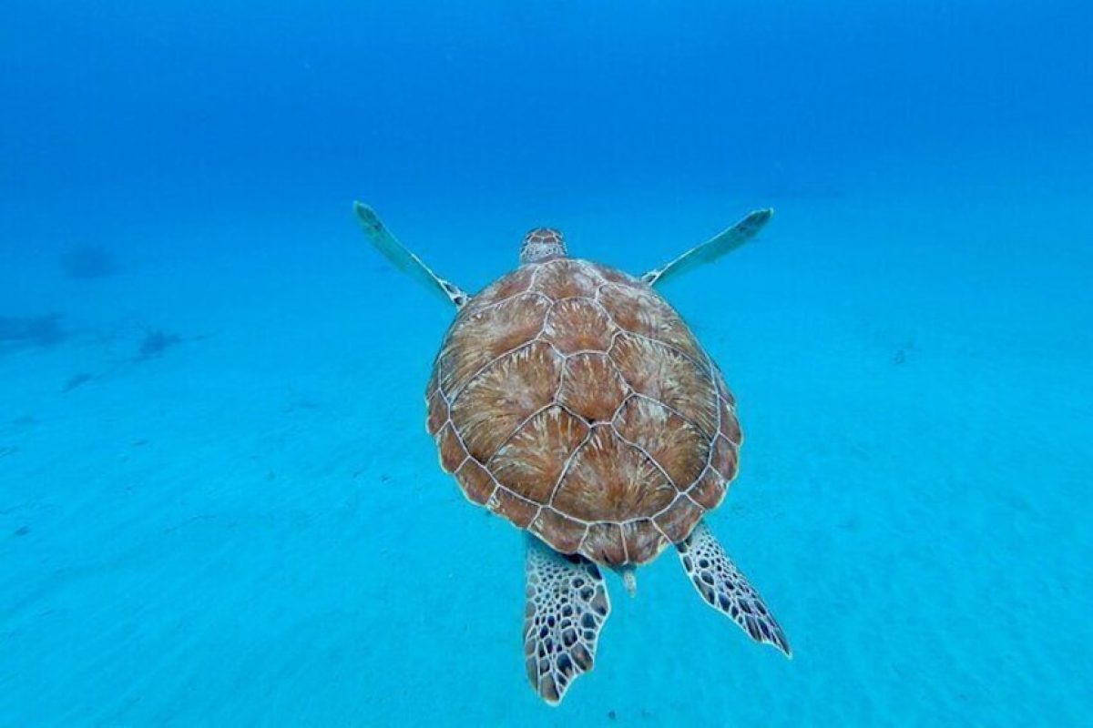 089bb679-1177-4d36-9355-6b062cd00f54