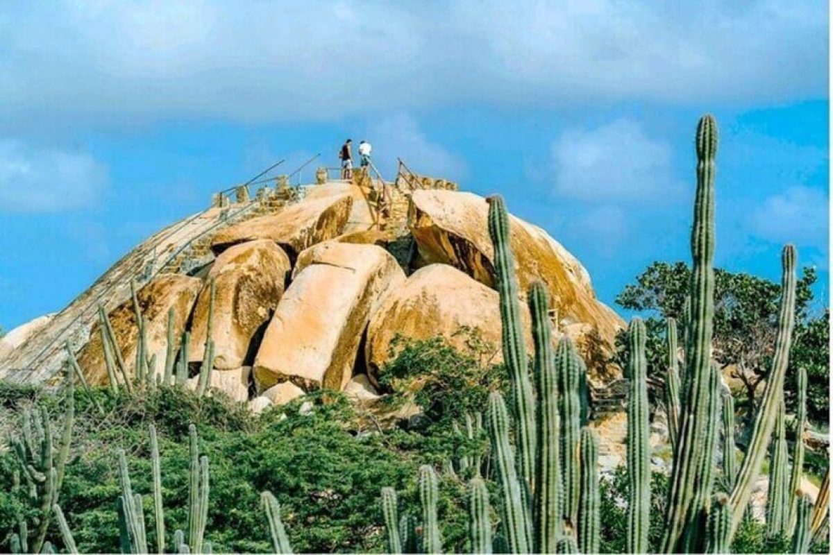 0af077ee-133a-4667-b8c6-1b862bd3001b