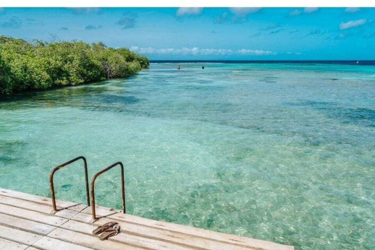 0c773049-a940-46ee-8017-01b087f4f492