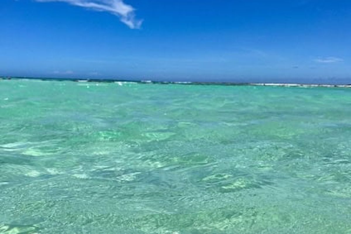 0d10049c-8a4b-44e8-aa16-3f879aabcbcf