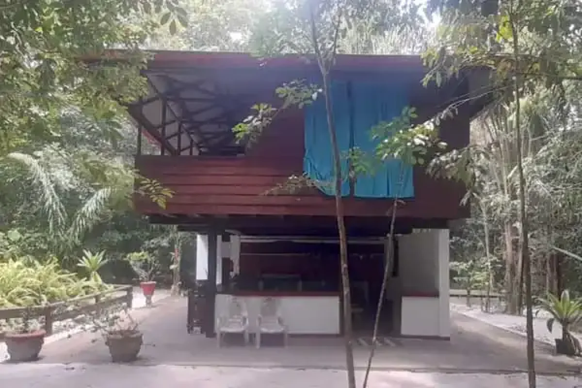 10-day Herping Wildlife Expedition (Suriname) 2