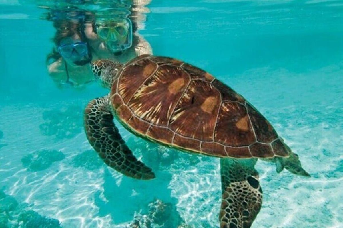 1000991e-c4fd-4fbc-8f35-4908fa230bf7