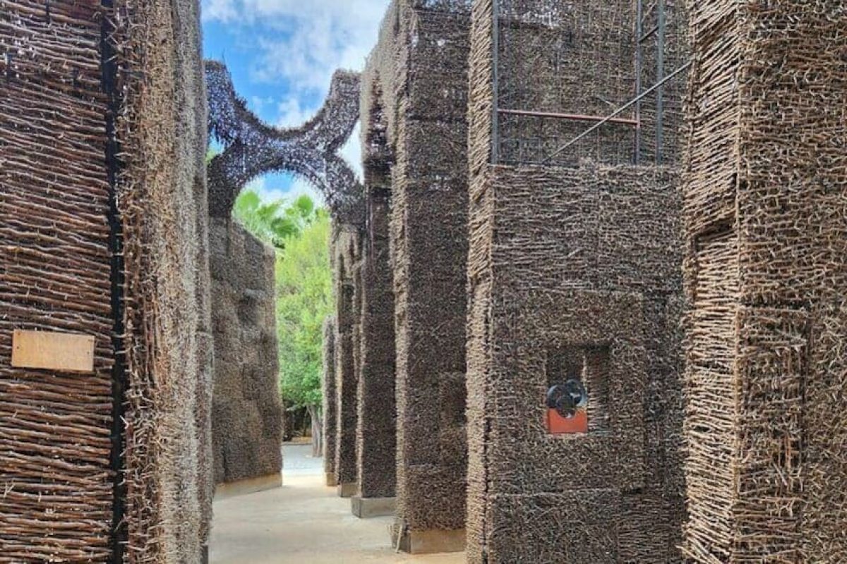 11a7bf36-2a1b-4437-831d-6f903002cf10