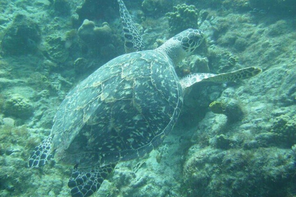 11dd55e9-4846-44e7-9159-c4bceef97971