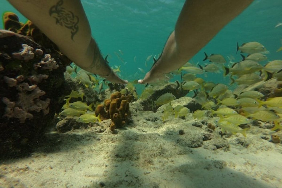 12a0f72a-49c2-4e48-abc5-9c8e61453c68