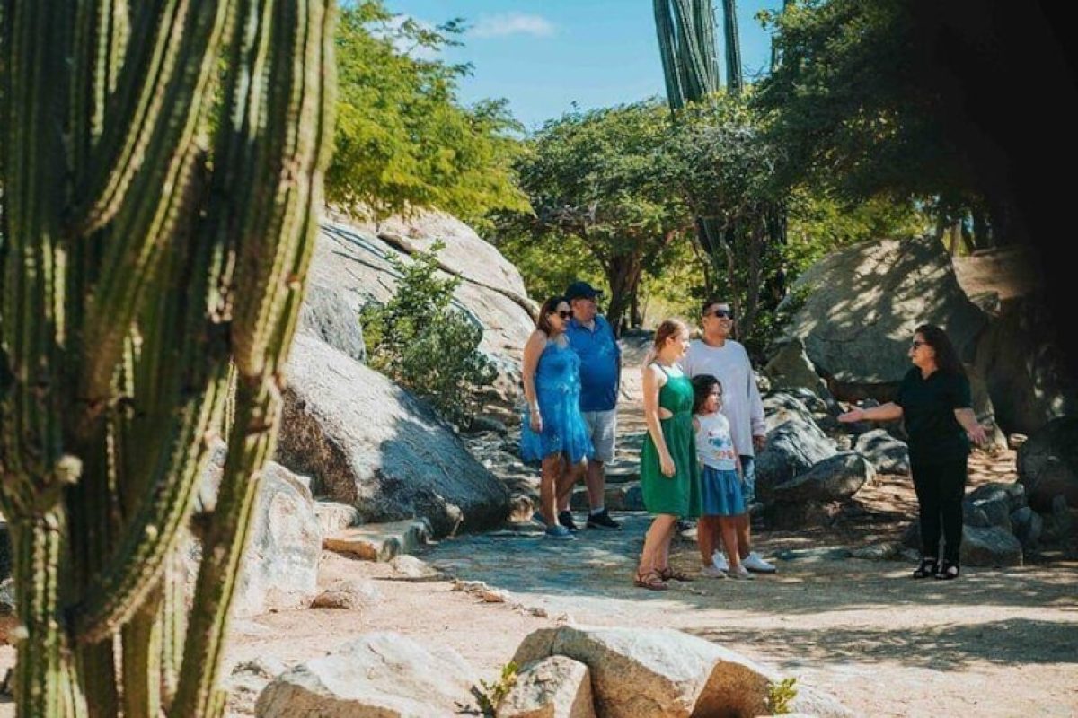 1612d7cf-7b91-408f-b221-5d30e72d03cf