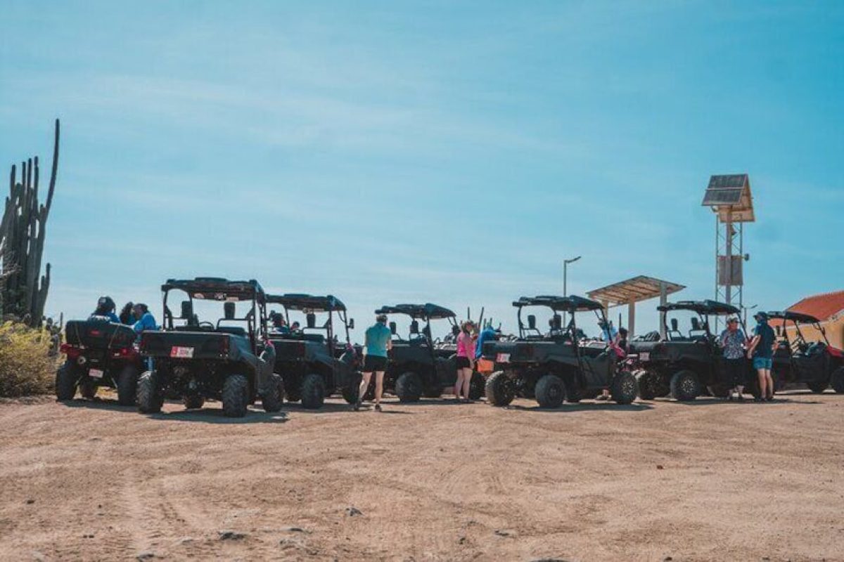 17688aac-d087-493b-95a8-7a744d093c36