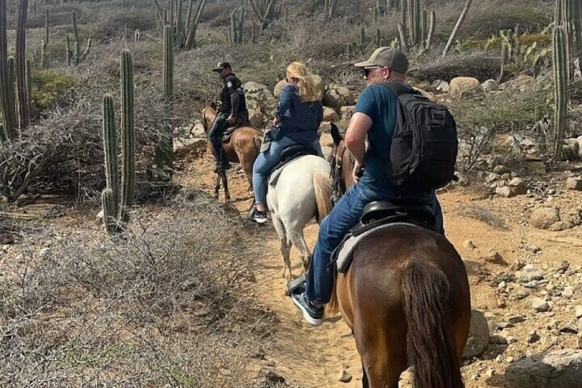 18dd81fc-a018-49a9-8374-c2f9645b33ab