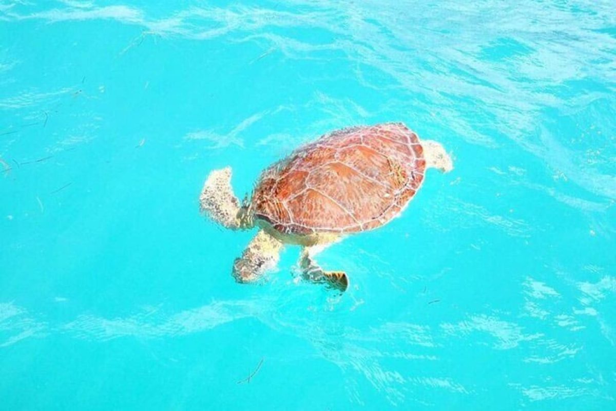 18f6b93c-7f7c-47aa-82d0-2fe80a7e90ab