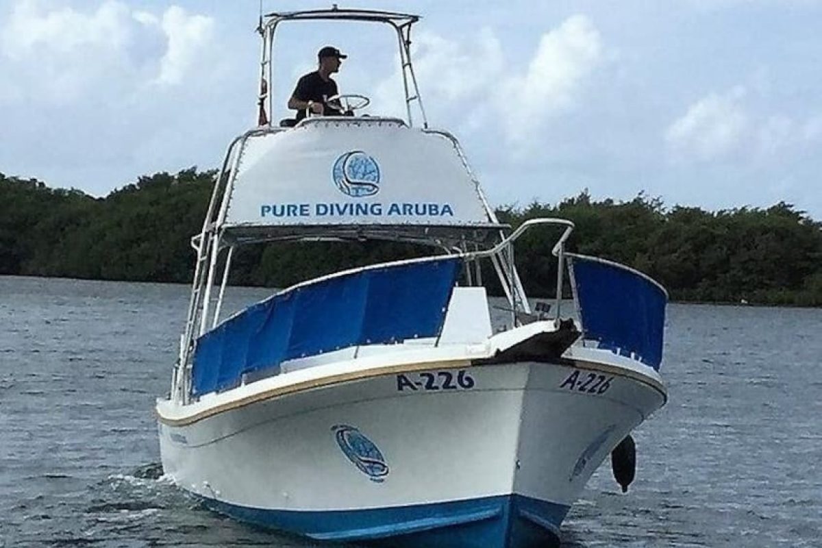 1996abaf-77ad-4e6b-8bff-9fab53a1cb47