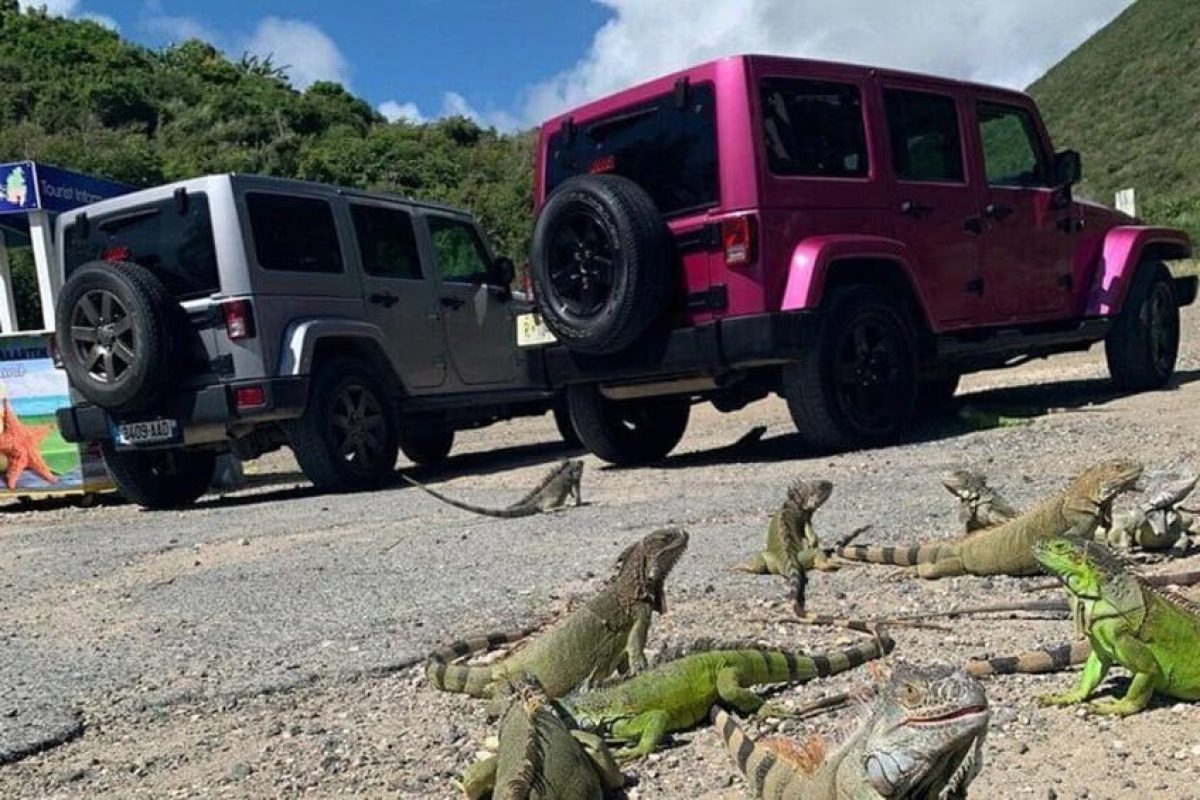 1ad00512-1f1b-4dcd-a5c7-34e841017d4d