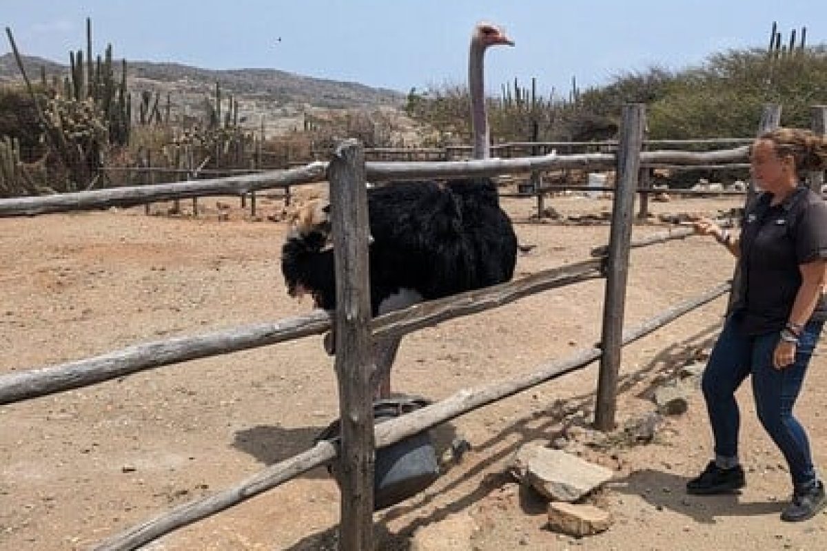 1ae7d8f5-04d5-4f88-905f-edbddf3877a6