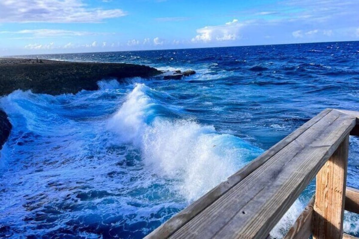 1e0fcb91-1c50-49fc-be31-0de1dd85367c