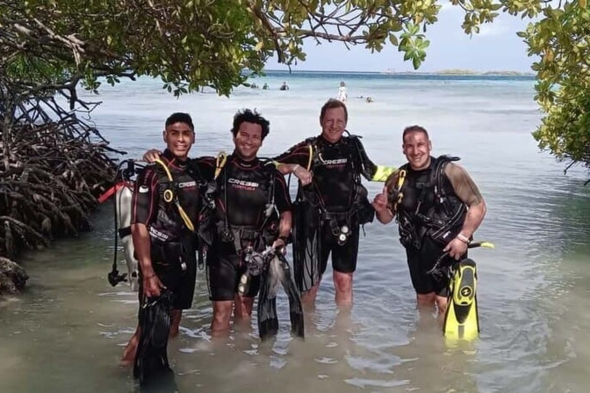 1e264777-0245-4c39-9572-4e7c99806532