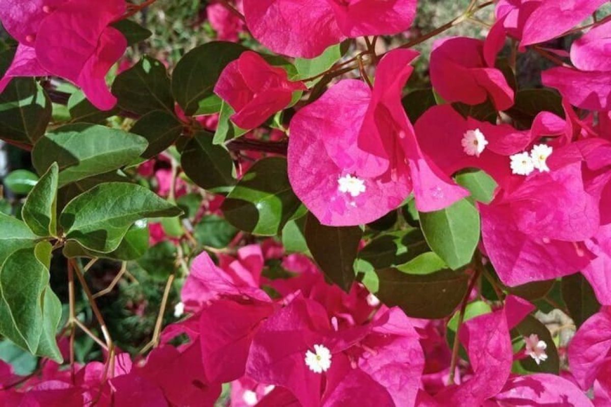 1e6b937c-c19e-4112-a239-c5e6d25b1799