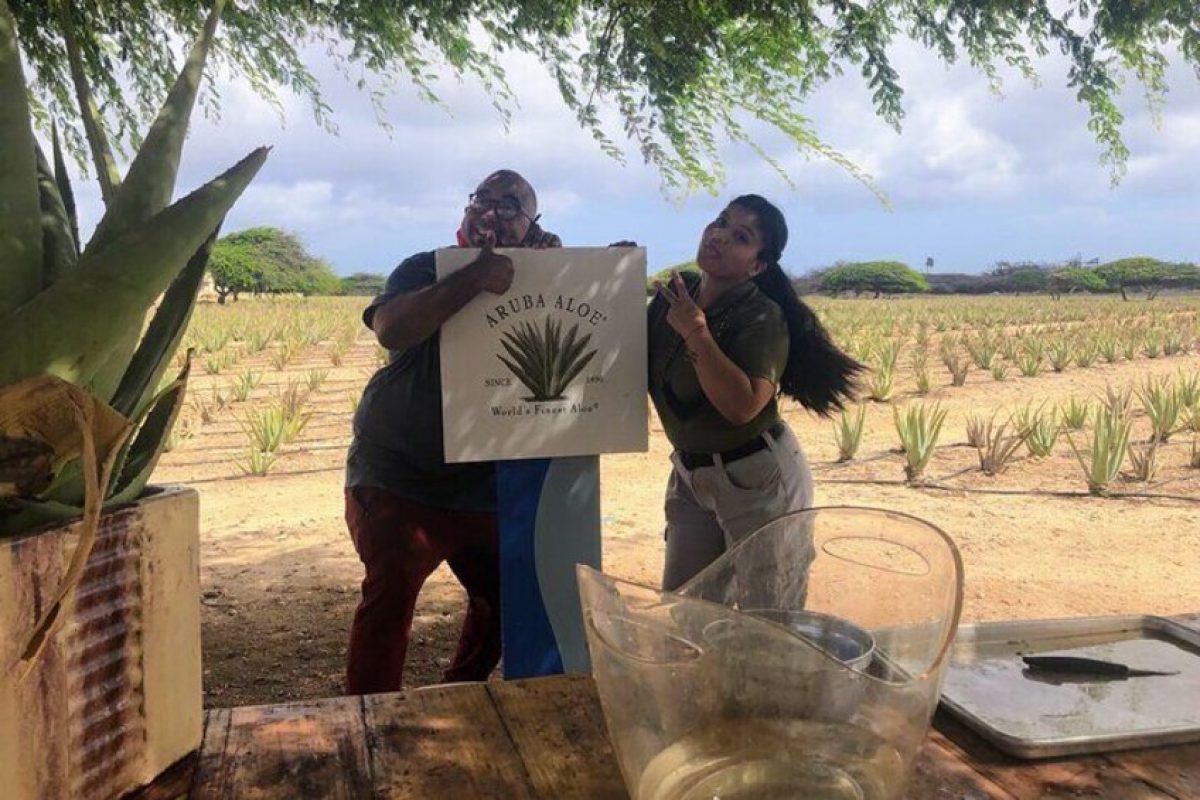 1e844943-c525-4b20-8e64-31bfdff260d0