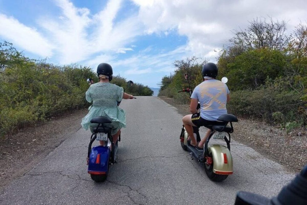 1fc9e3b9-b8e7-4394-b4e4-5d79b956008a