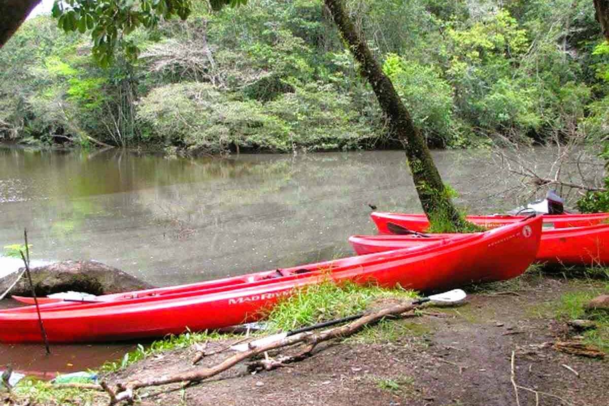 Rode kanos liggen aan de oever van een rustige rivier in het regenwoud