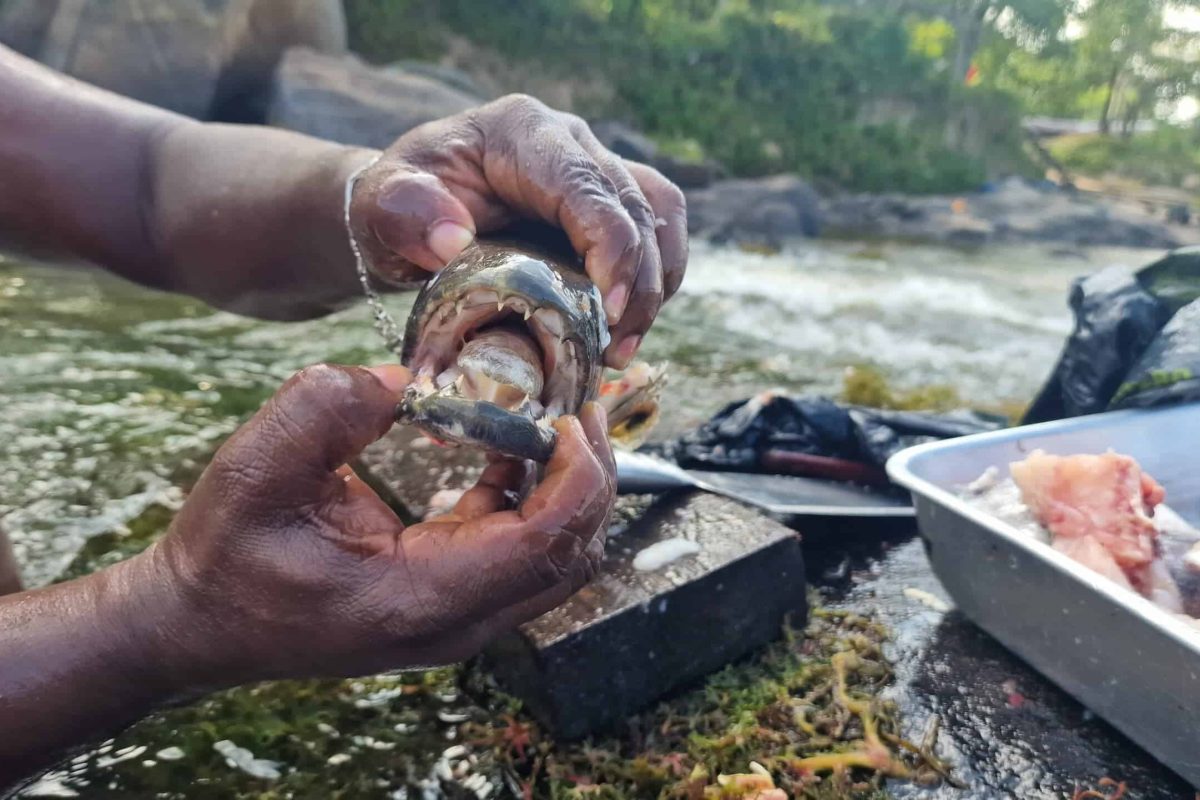 20230823_163533-scaled