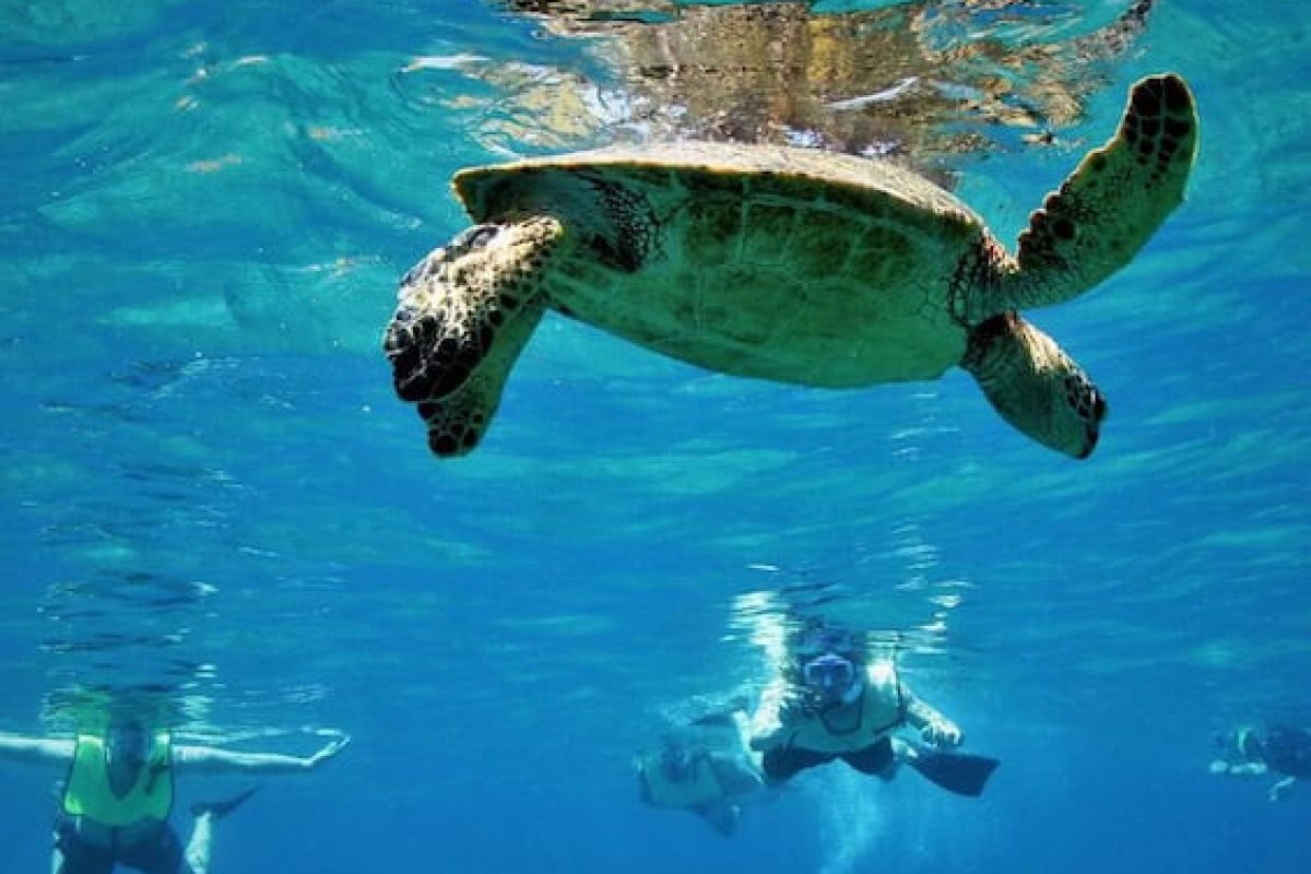 210500e8-5822-4371-86fa-38dacc6d78a0